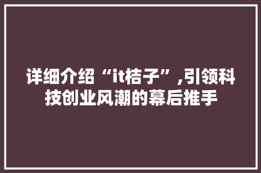 详细介绍“it桔子”,引领科技创业风潮的幕后推手 花朵知识