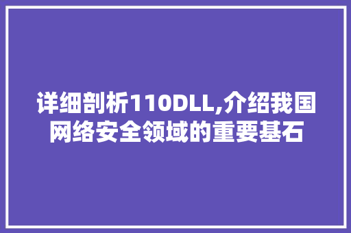 详细剖析110DLL,介绍我国网络安全领域的重要基石