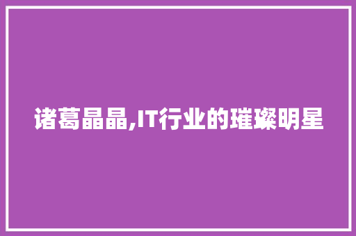诸葛晶晶,IT行业的璀璨明星