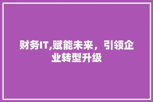 财务IT,赋能未来，引领企业转型升级