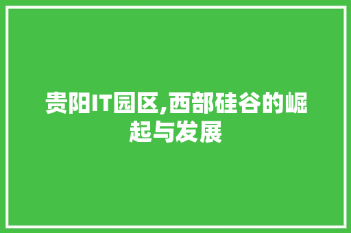 贵阳IT园区,西部硅谷的崛起与发展