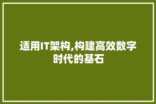 适用IT架构,构建高效数字时代的基石