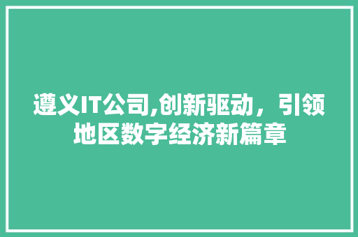 遵义IT公司,创新驱动，引领地区数字经济新篇章