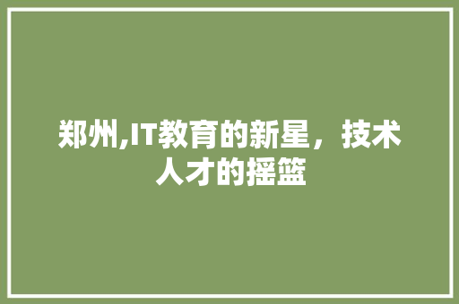 郑州,IT教育的新星，技术人才的摇篮
