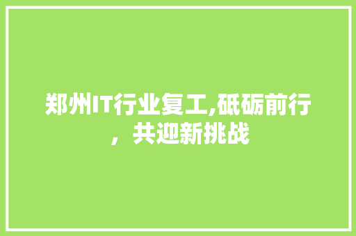 郑州IT行业复工,砥砺前行，共迎新挑战