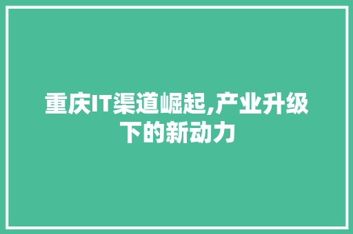 重庆IT渠道崛起,产业升级下的新动力
