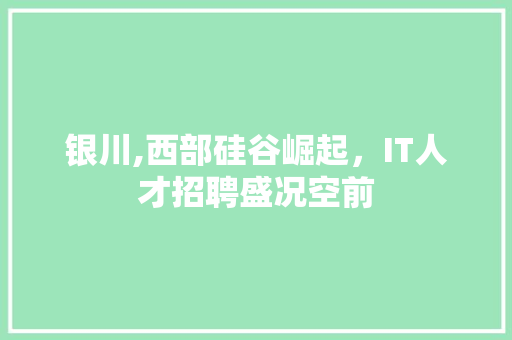 银川,西部硅谷崛起，IT人才招聘盛况空前 农业常识