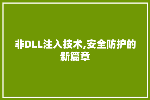 非DLL注入技术,安全防护的新篇章
