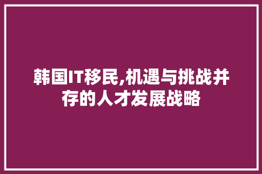 韩国IT移民,机遇与挑战并存的人才发展战略