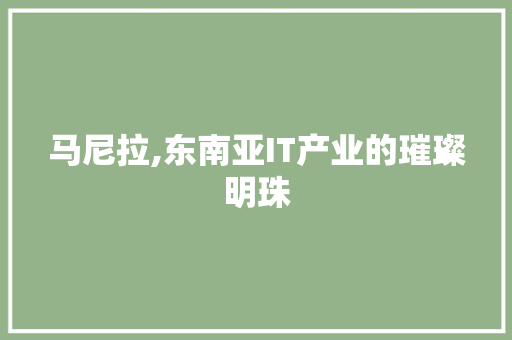 马尼拉,东南亚IT产业的璀璨明珠 马尼拉,东南亚IT产业的璀璨明珠