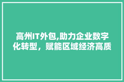 高州IT外包,助力企业数字化转型,赋能区域经济高质量发展 高州IT外包,助力企业数字化转型,赋能区域经济高质量发展