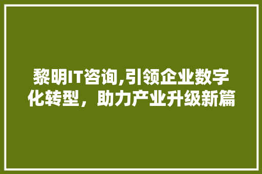 黎明IT咨询,引领企业数字化转型，助力产业升级新篇章