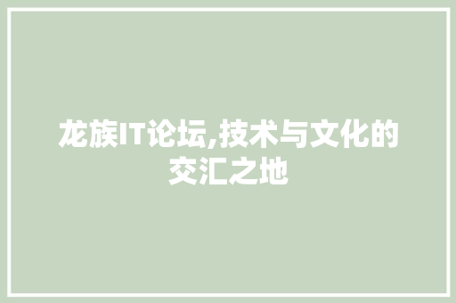 龙族IT论坛,技术与文化的交汇之地