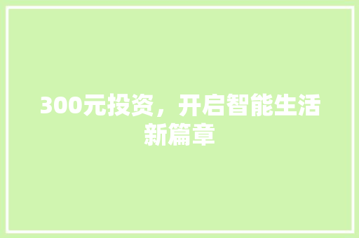 300元投资，开启智能生活新篇章