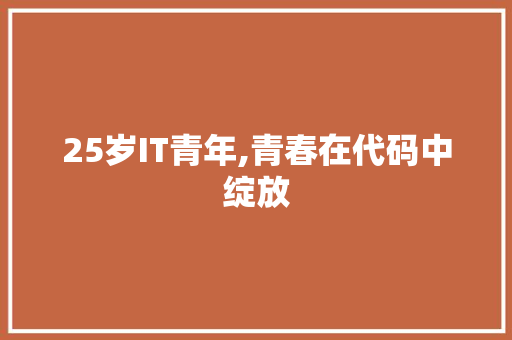 25岁IT青年,青春在代码中绽放