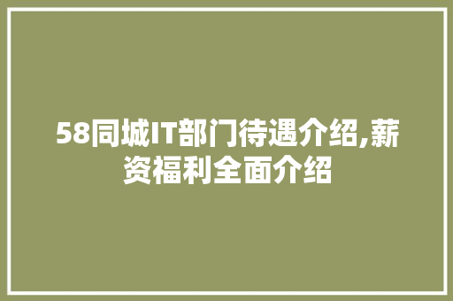 58同城IT部门待遇介绍,薪资福利全面介绍