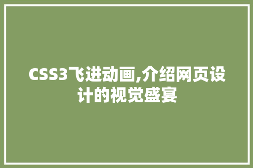 CSS3飞进动画,介绍网页设计的视觉盛宴