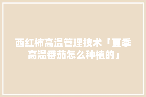 西红柿高温管理技术「夏季高温番茄怎么种植的」