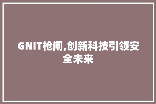 GNIT枪闸,创新科技引领安全未来