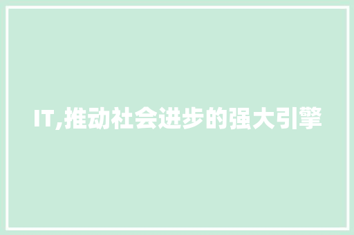 IT,推动社会进步的强大引擎