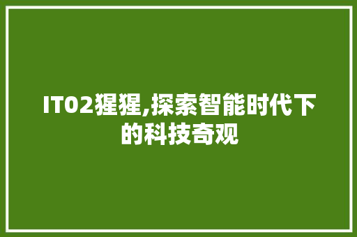 IT02猩猩,探索智能时代下的科技奇观