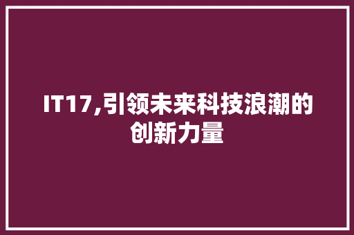 IT17,引领未来科技浪潮的创新力量
