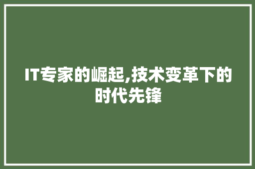 IT专家的崛起,技术变革下的时代先锋 农业常识