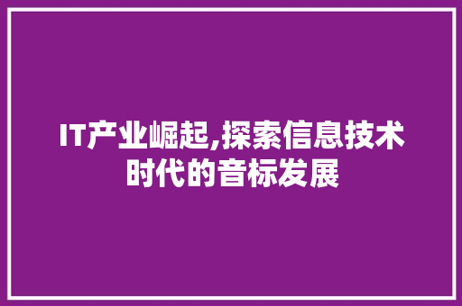 IT产业崛起,探索信息技术时代的音标发展
