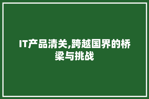IT产品清关,跨越国界的桥梁与挑战
