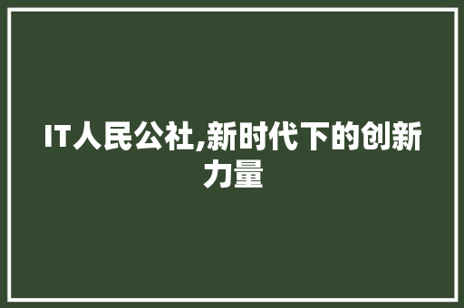 IT人民公社,新时代下的创新力量