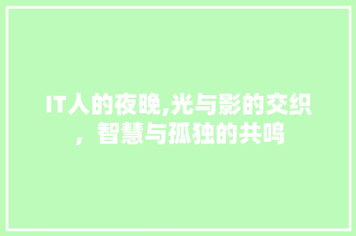 IT人的夜晚,光与影的交织，智慧与孤独的共鸣