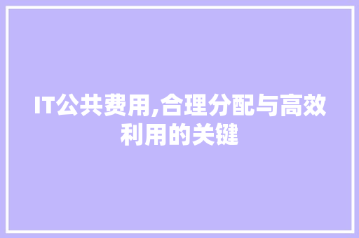 IT公共费用,合理分配与高效利用的关键