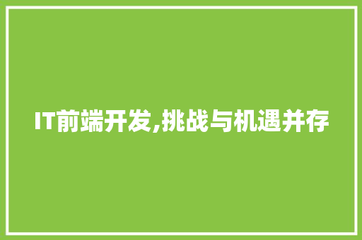 IT前端开发,挑战与机遇并存