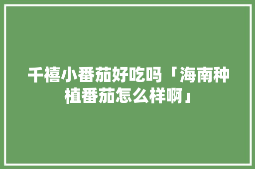 千禧小番茄好吃吗「海南种植番茄怎么样啊」 千禧小番茄好吃吗「海南种植番茄怎么样啊」 番茄种植技巧