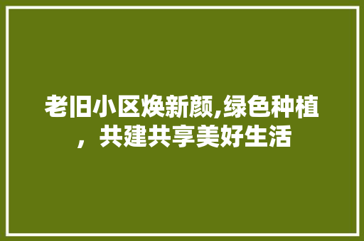老旧小区焕新颜,绿色种植，共建共享美好生活