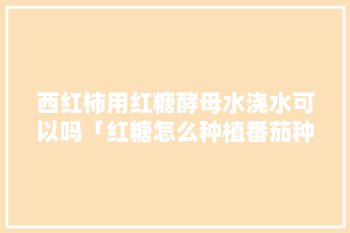 西红柿用红糖酵母水浇水可以吗「红糖怎么种植番茄种子视频」