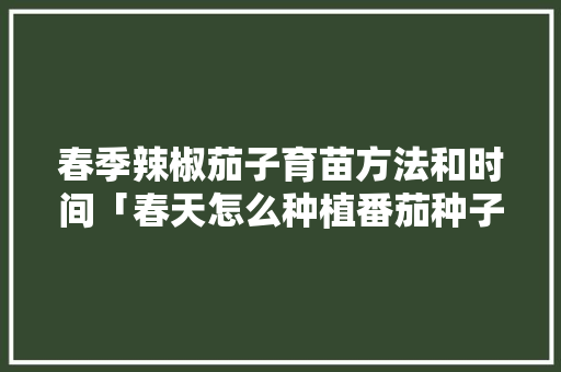 春季辣椒茄子育苗方法和时间「春天怎么种植番茄种子呢」 春季辣椒茄子育苗方法和时间「春天怎么种植番茄种子呢」 番茄种植技巧