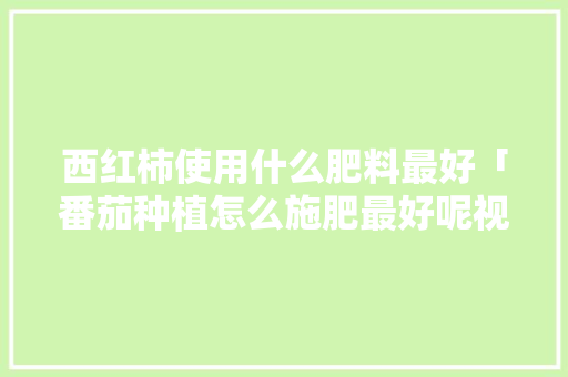 西红柿使用什么肥料最好「番茄种植怎么施肥最好呢视频」