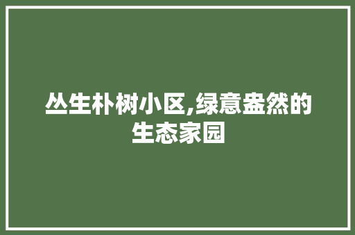 丛生朴树小区,绿意盎然的生态家园