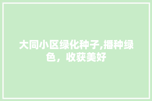 大同小区绿化种子,播种绿色，收获美好
