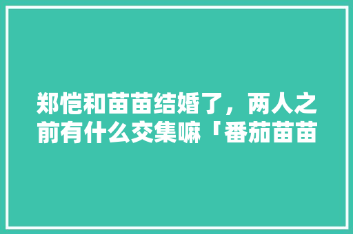 郑恺和苗苗结婚了,两人之前有什么交集嘛「番茄苗苗怎么种植视频教程」 番茄病虫害防治 郑恺和苗苗结婚了,两人之前有什么交集嘛「番茄苗苗怎么种植视频教程」 郑恺和苗苗结婚了,两人之前有什么交集嘛「番茄苗苗怎么种植视频教程」 番茄病虫害防治