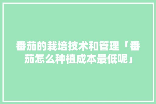 番茄的栽培技术和管理「番茄怎么种植成本最低呢」 种植技巧 番茄的栽培技术和管理「番茄怎么种植成本最低呢」 番茄的栽培技术和管理「番茄怎么种植成本最低呢」 种植技巧