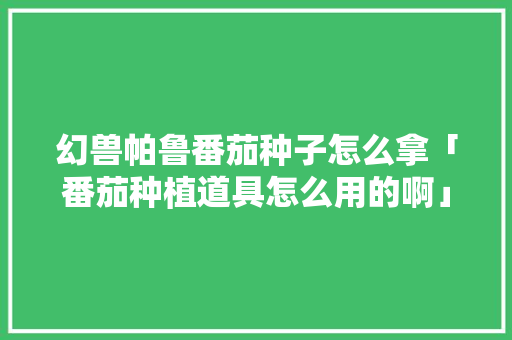 幻兽帕鲁番茄种子怎么拿「番茄种植道具怎么用的啊」 幻兽帕鲁番茄种子怎么拿「番茄种植道具怎么用的啊」 番茄种植技巧