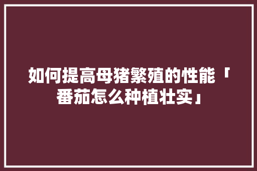如何提高母猪繁殖的性能「番茄怎么种植壮实」 如何提高母猪繁殖的性能「番茄怎么种植壮实」 番茄病虫害防治