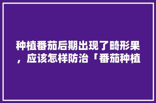 种植番茄后期出现了畸形果，应该怎样防治「番茄种植早衰怎么办视频」