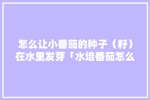怎么让小番茄的种子（籽）在水里发芽「水培番茄怎么种植方法」 怎么让小番茄的种子（籽）在水里发芽「水培番茄怎么种植方法」 农业常识