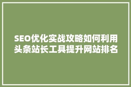SEO优化实战攻略如何利用头条站长工具提升网站排名