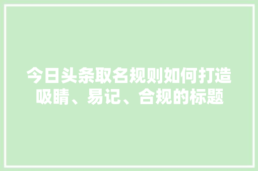 今日头条取名规则如何打造吸睛、易记、合规的标题