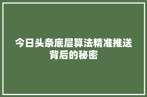 今日头条底层算法精准推送背后的秘密