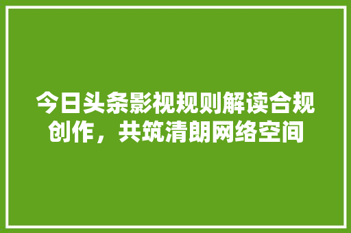今日头条影视规则解读合规创作，共筑清朗网络空间